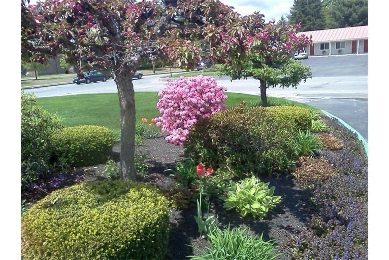 Belmont Motel Skowhegan Exterior photo
